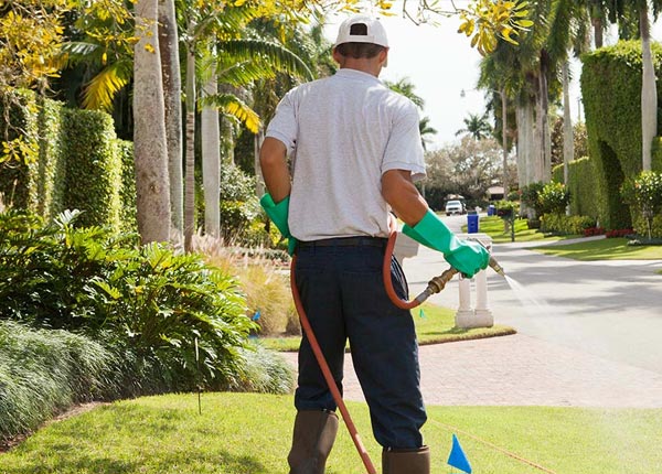 About Oak Lawn IL Pest Control Pros